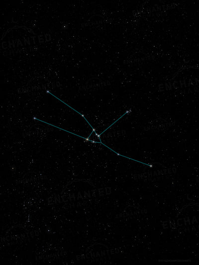 Taurus Zodiac Sign Star Print