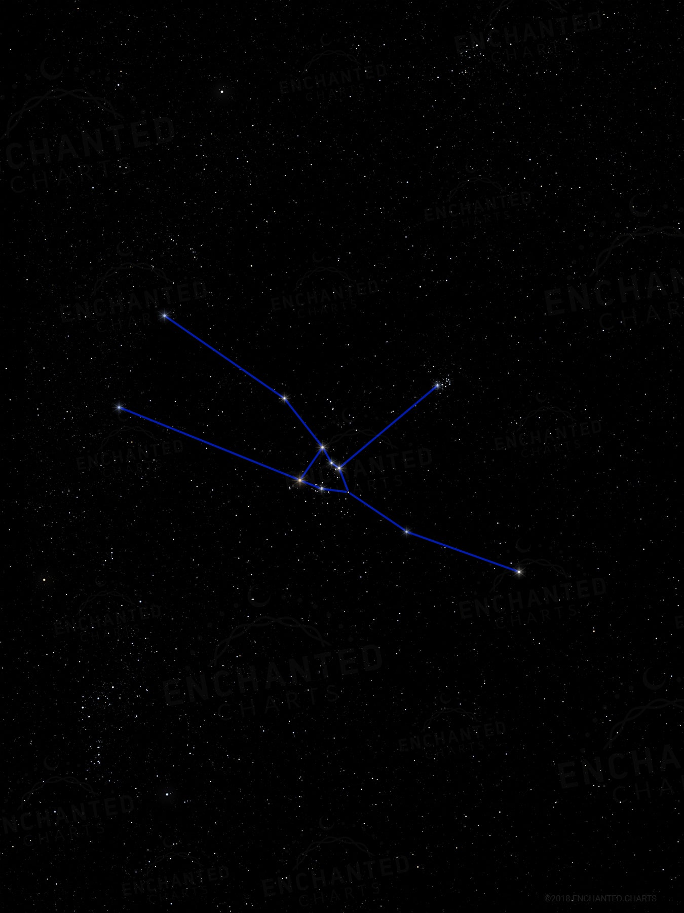 Taurus Zodiac Sign Star Print