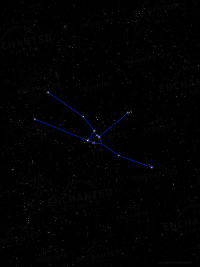 Taurus Zodiac Sign Star Print