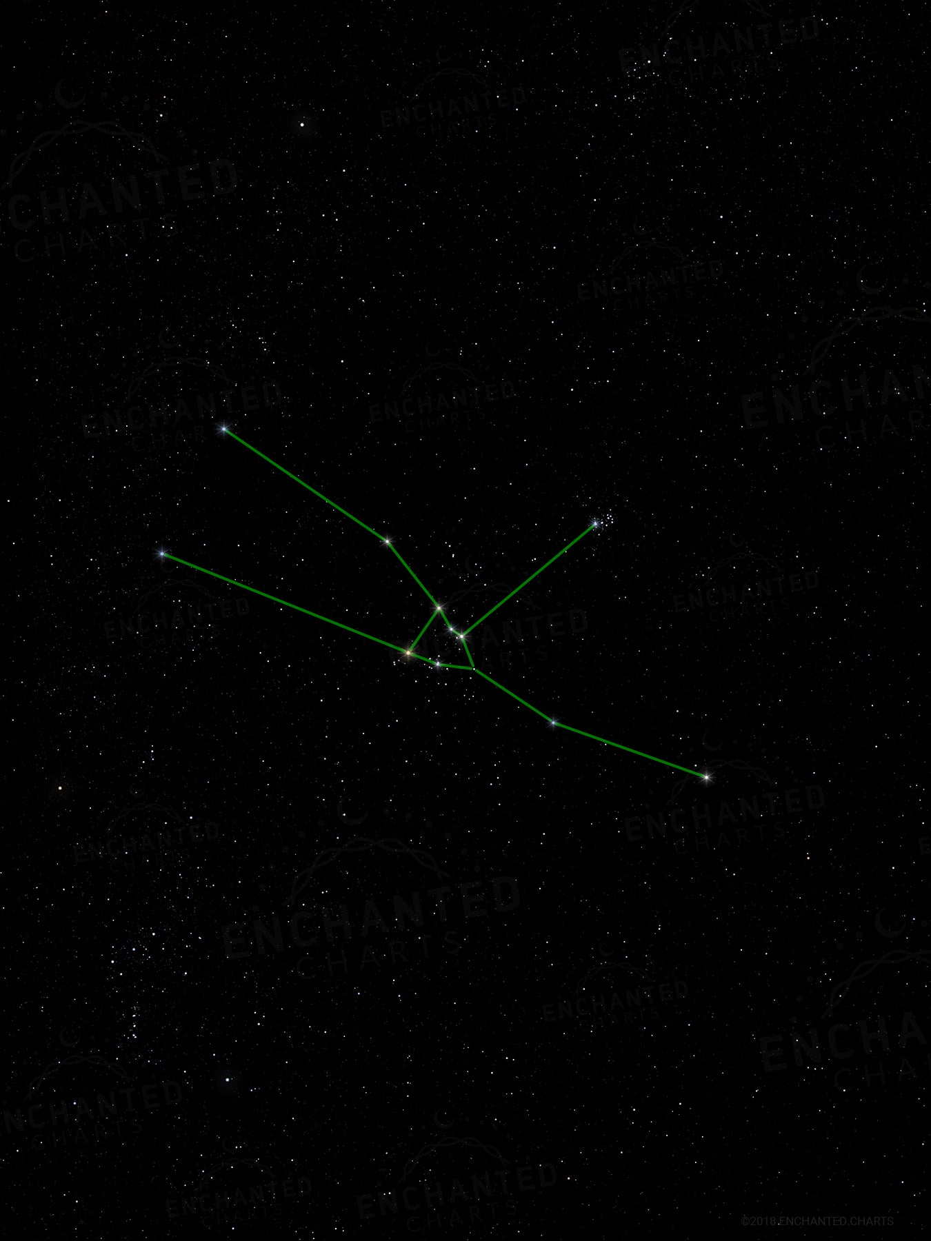 Taurus Zodiac Sign Star Print