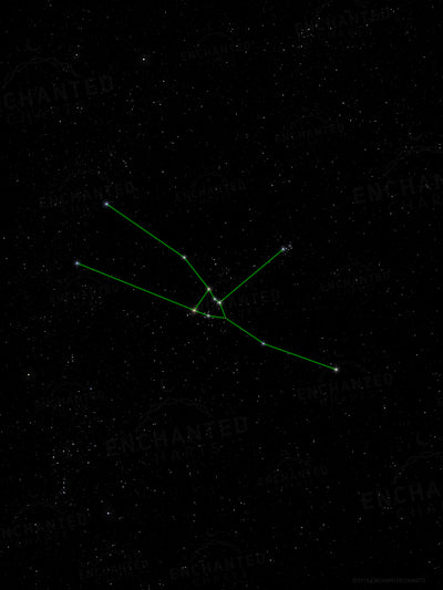 Taurus Zodiac Sign Star Print