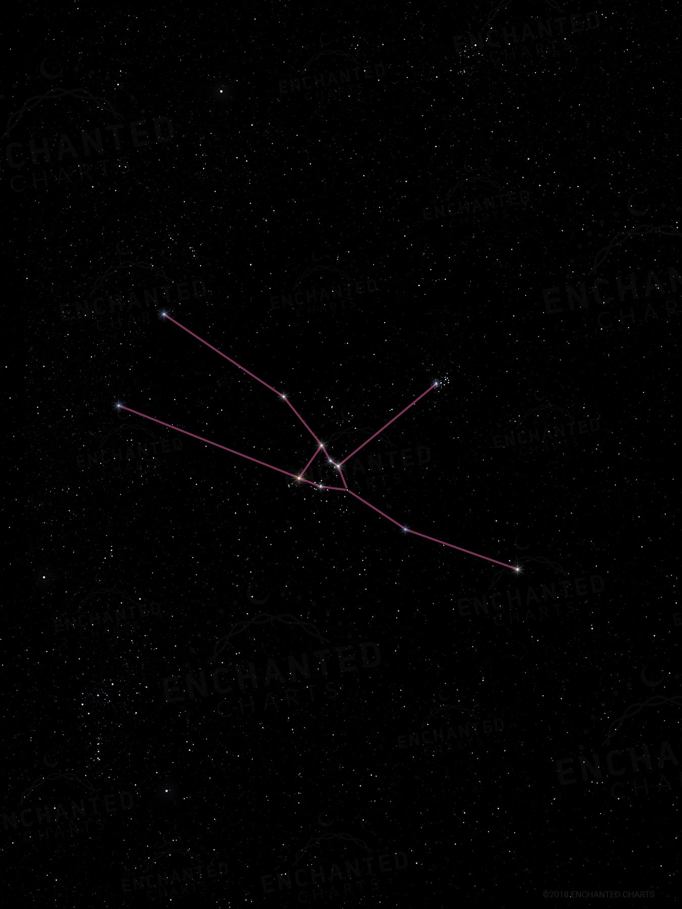 Taurus Zodiac Sign Star Print