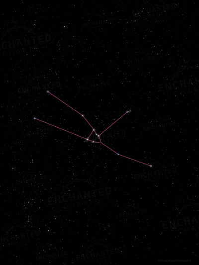 Taurus Zodiac Sign Star Print