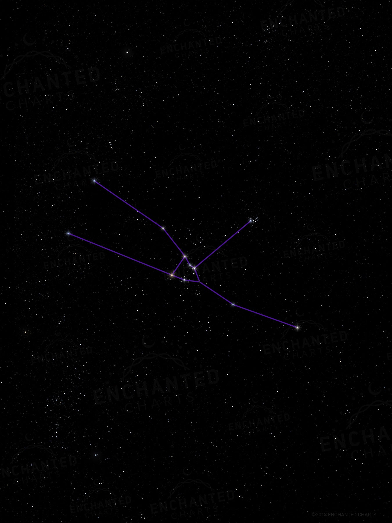 Taurus Zodiac Sign Star Print