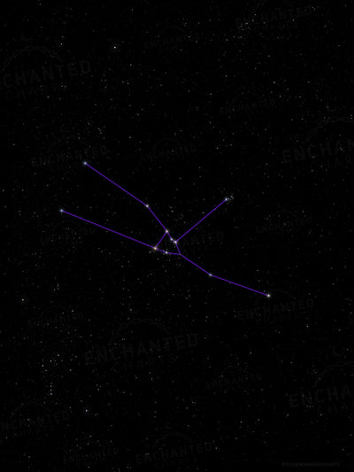 Taurus Zodiac Sign Star Print