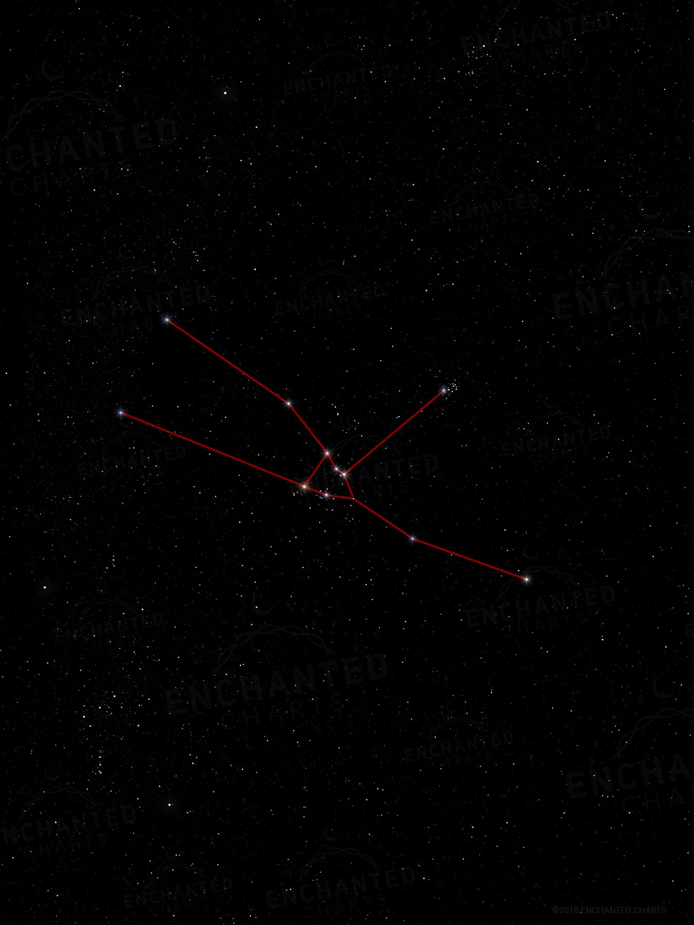 Taurus Zodiac Sign Star Print