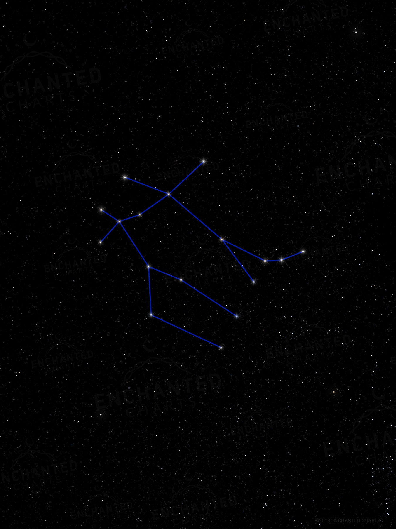 Gemini Zodiac Sign Star Print