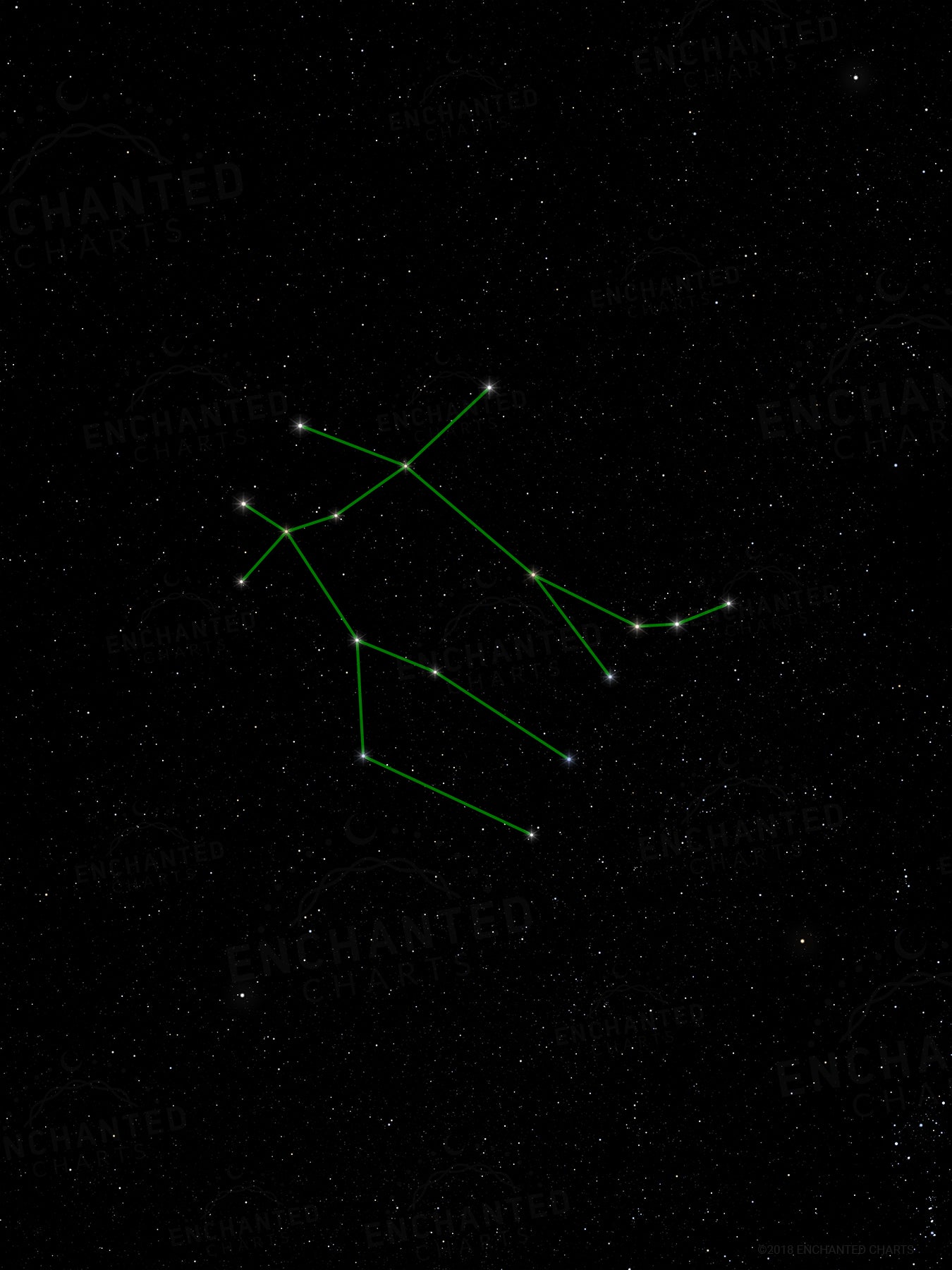Gemini Zodiac Sign Star Print