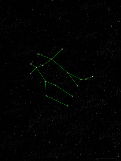 Gemini Zodiac Sign Star Print