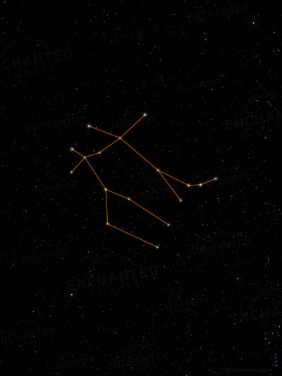 Gemini Zodiac Sign Star Print