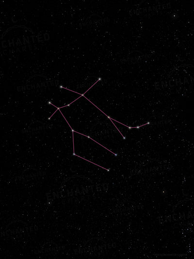 Gemini Zodiac Sign Star Print