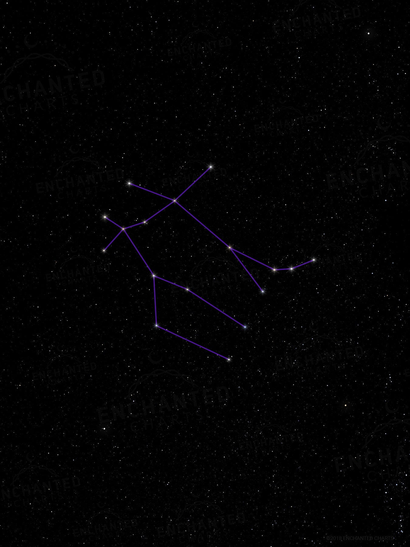 Gemini Zodiac Sign Star Print
