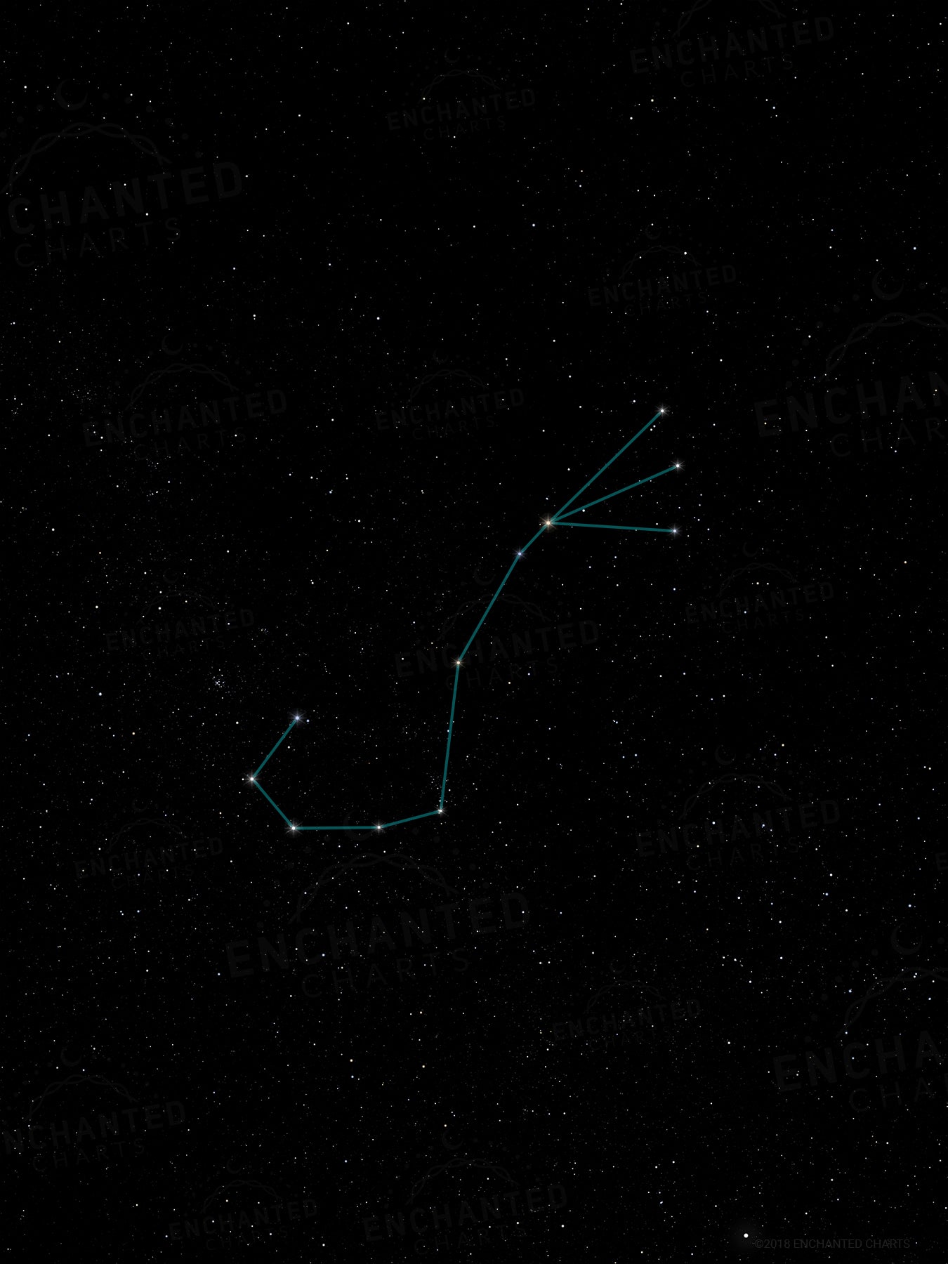 Scorpio Zodiac Sign Star Print