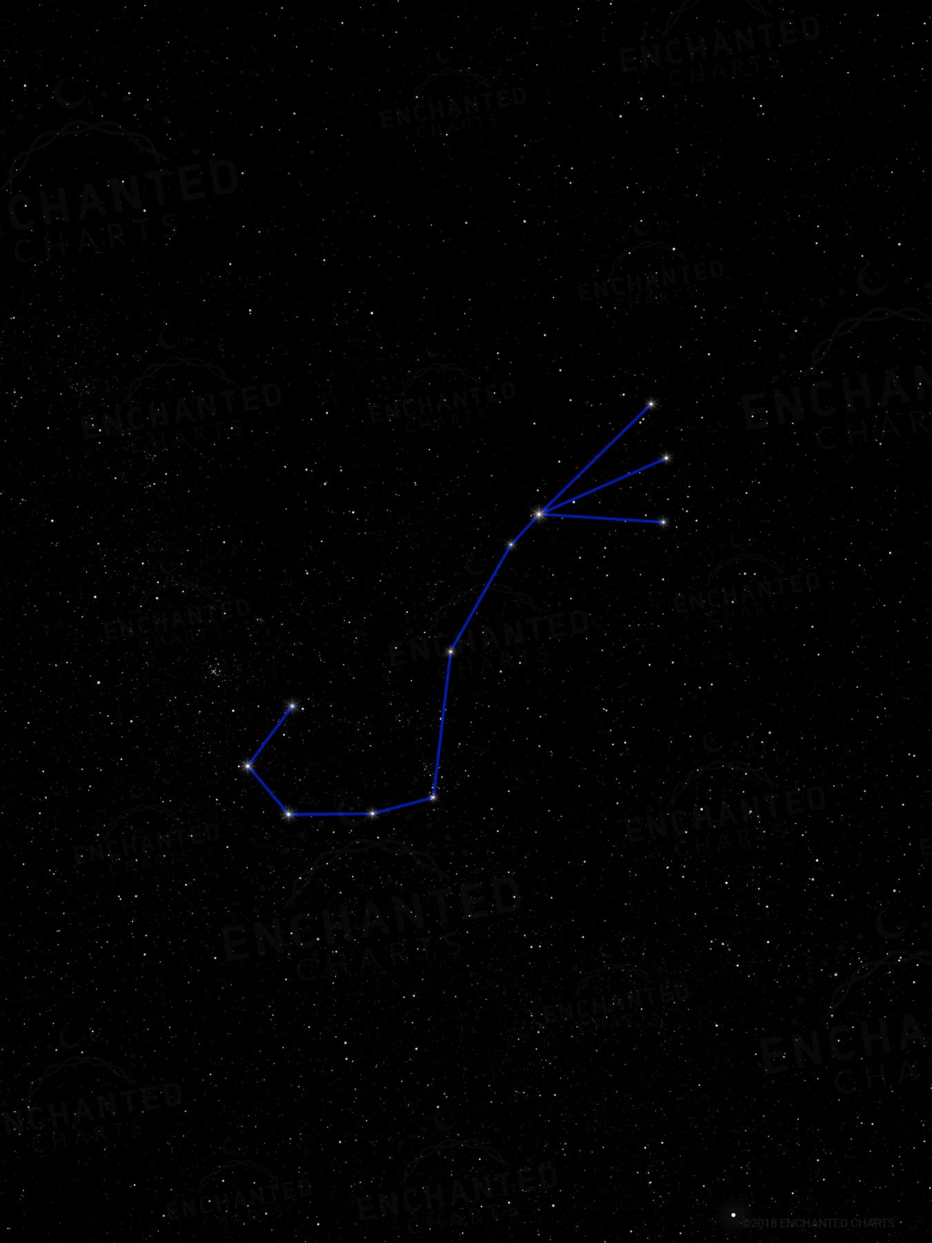 Scorpio Zodiac Sign Star Print