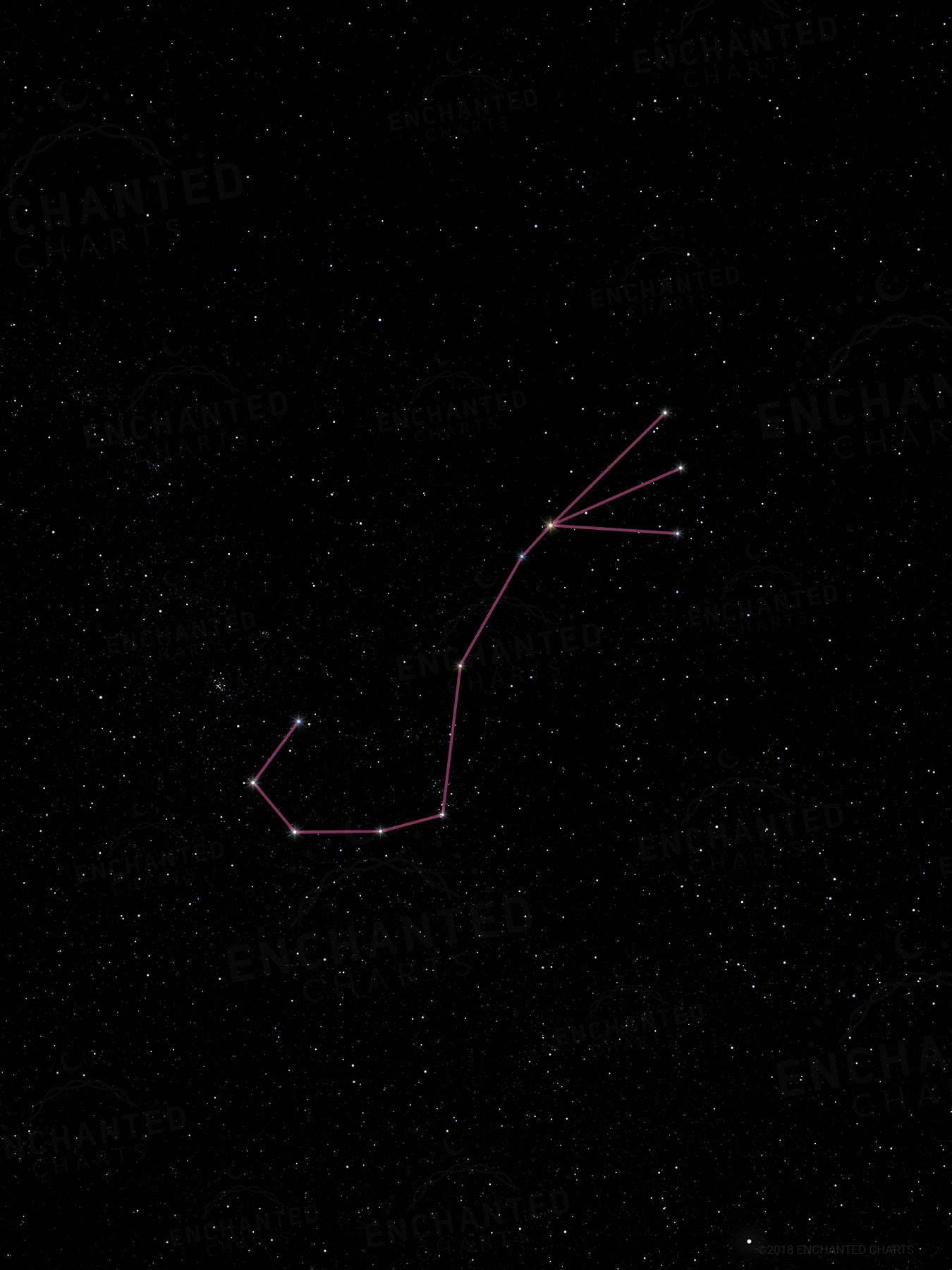 Scorpio Zodiac Sign Star Print