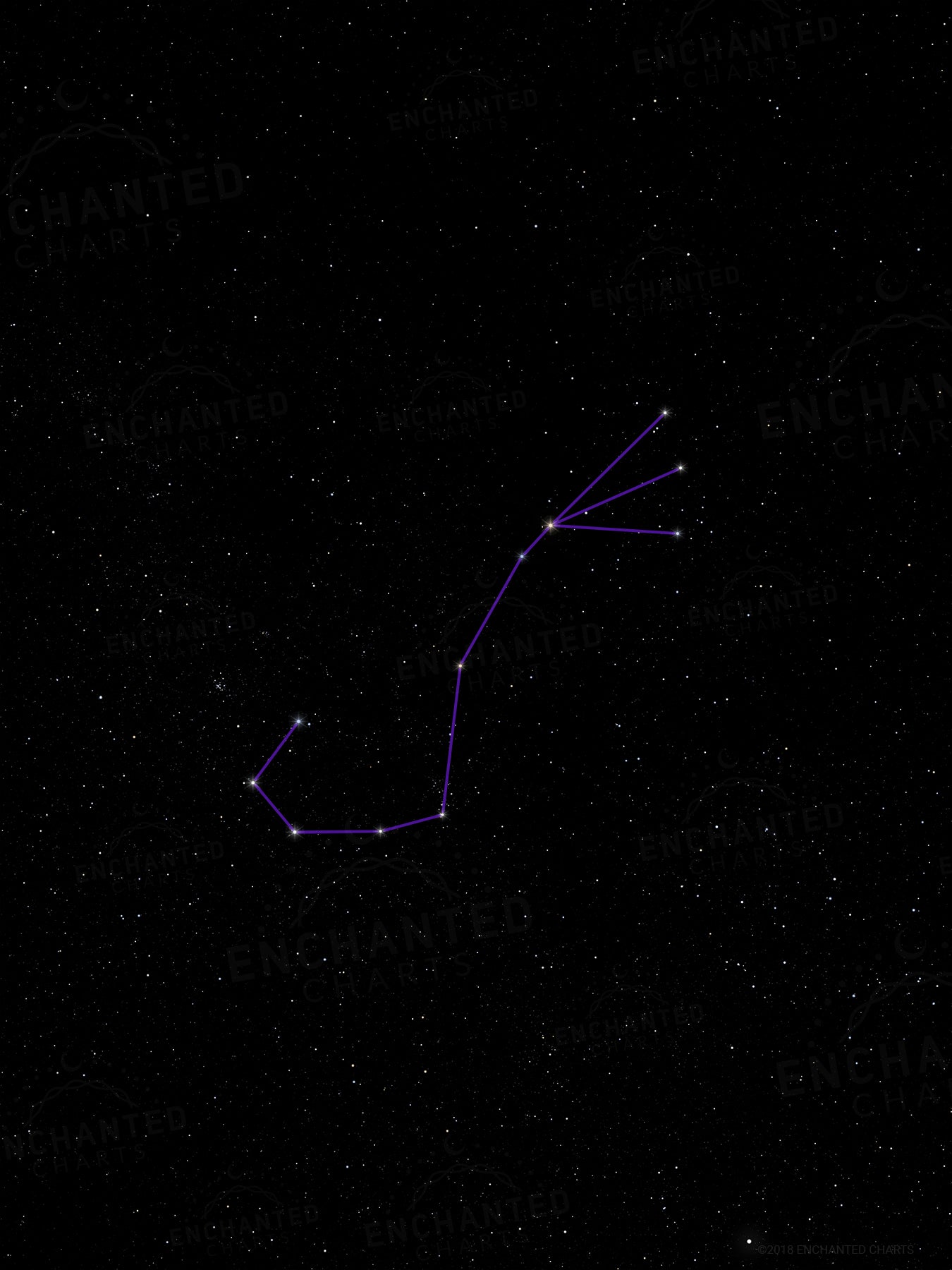 Scorpio Zodiac Sign Star Print