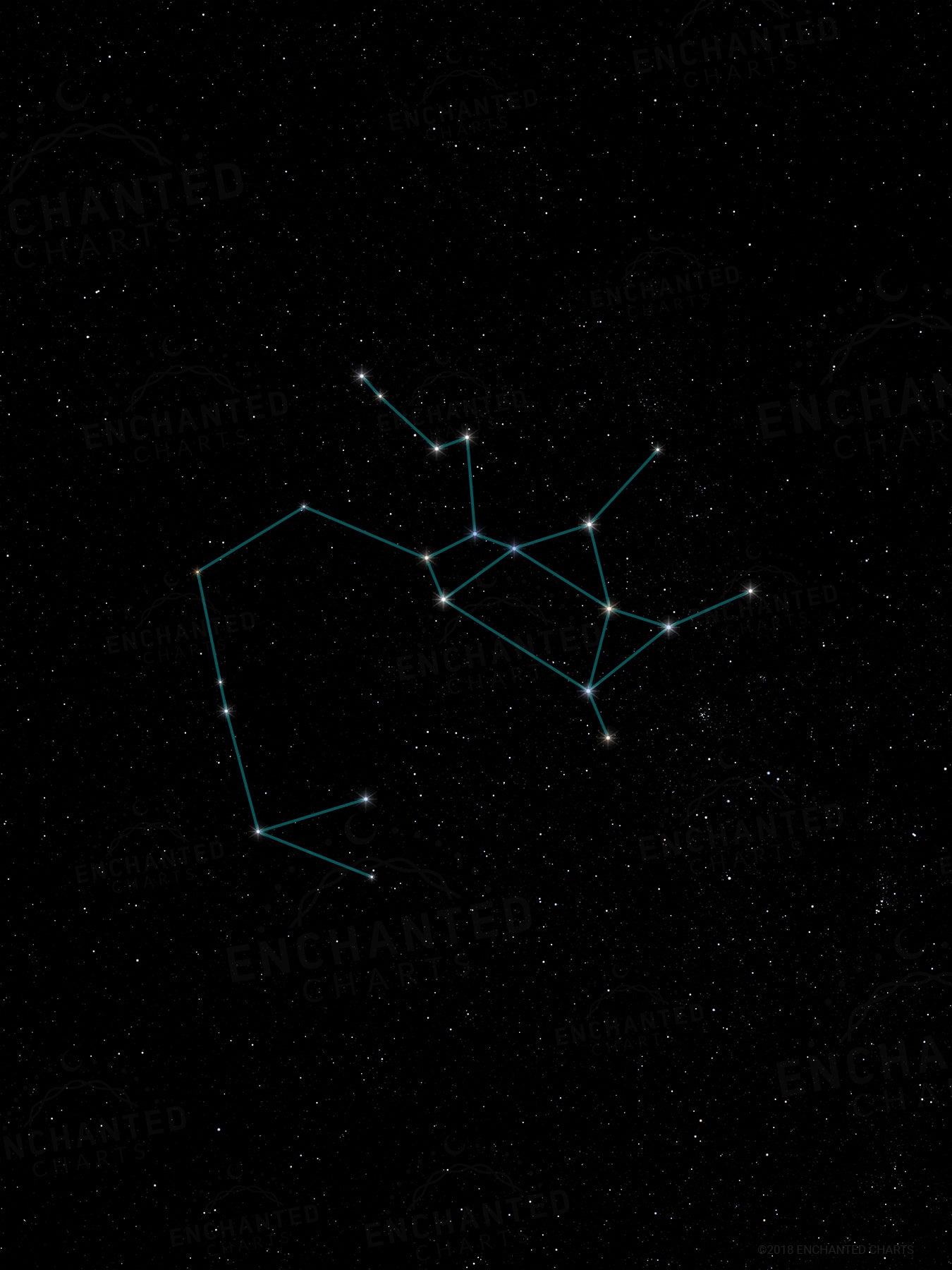 Sagittarius Zodiac Sign Star Print