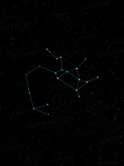 Sagittarius Zodiac Sign Star Print