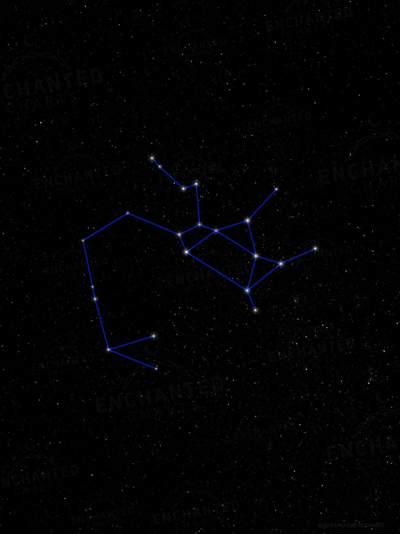 Sagittarius Zodiac Sign Star Print