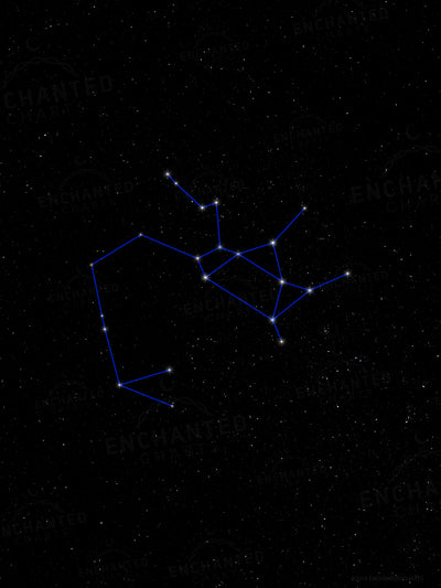 Sagittarius Zodiac Sign Star Print