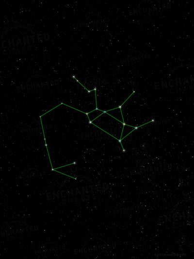 Sagittarius Zodiac Sign Star Print