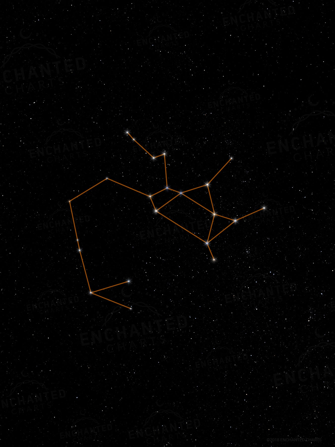 Sagittarius Zodiac Sign Star Print