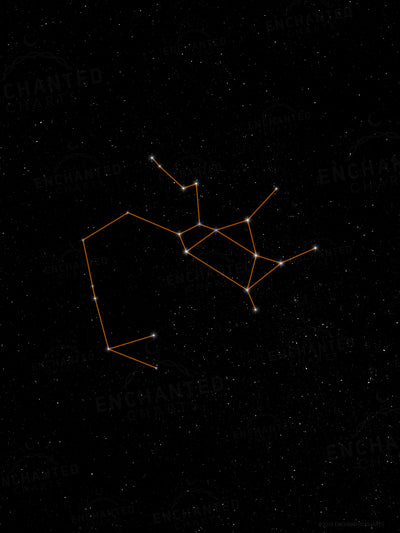 Sagittarius Zodiac Sign Star Print