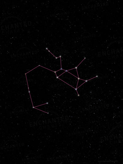 Sagittarius Zodiac Sign Star Print