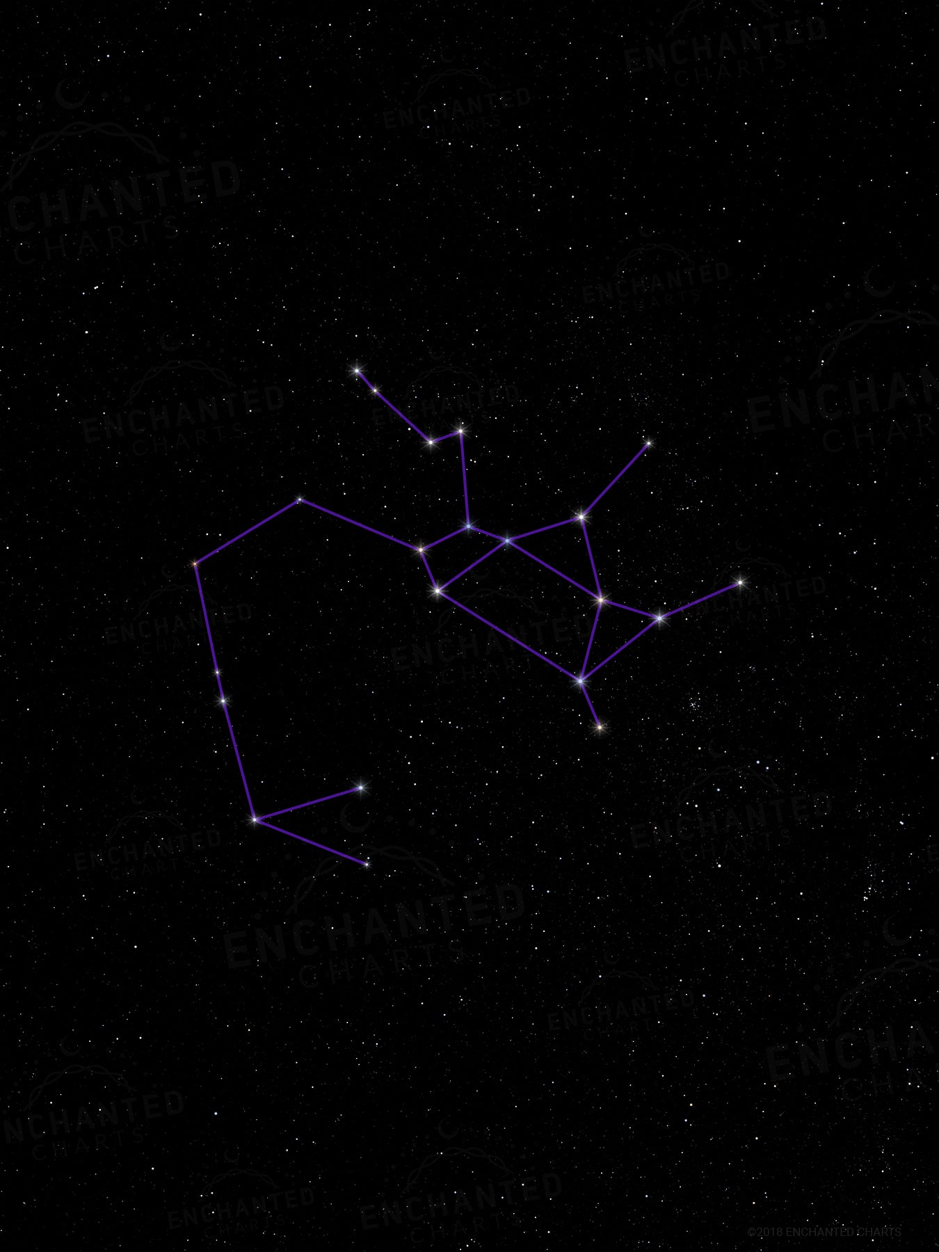 Sagittarius Zodiac Sign Star Print