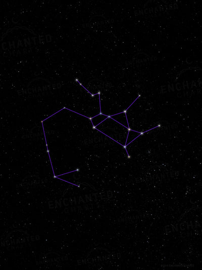Sagittarius Zodiac Sign Star Print