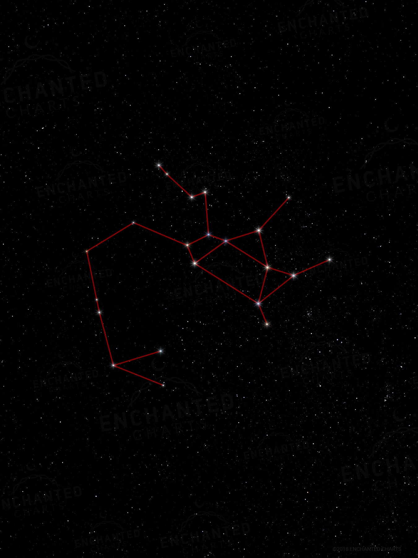 Sagittarius Zodiac Sign Star Print