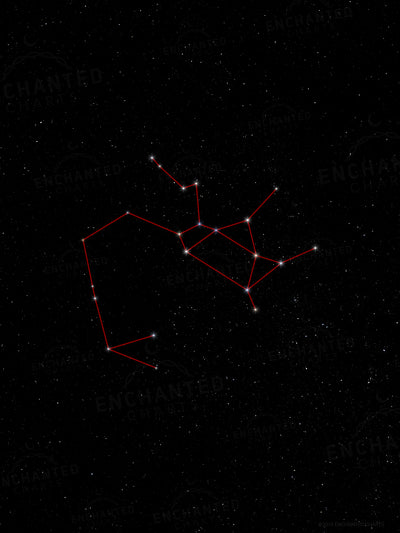 Sagittarius Zodiac Sign Star Print