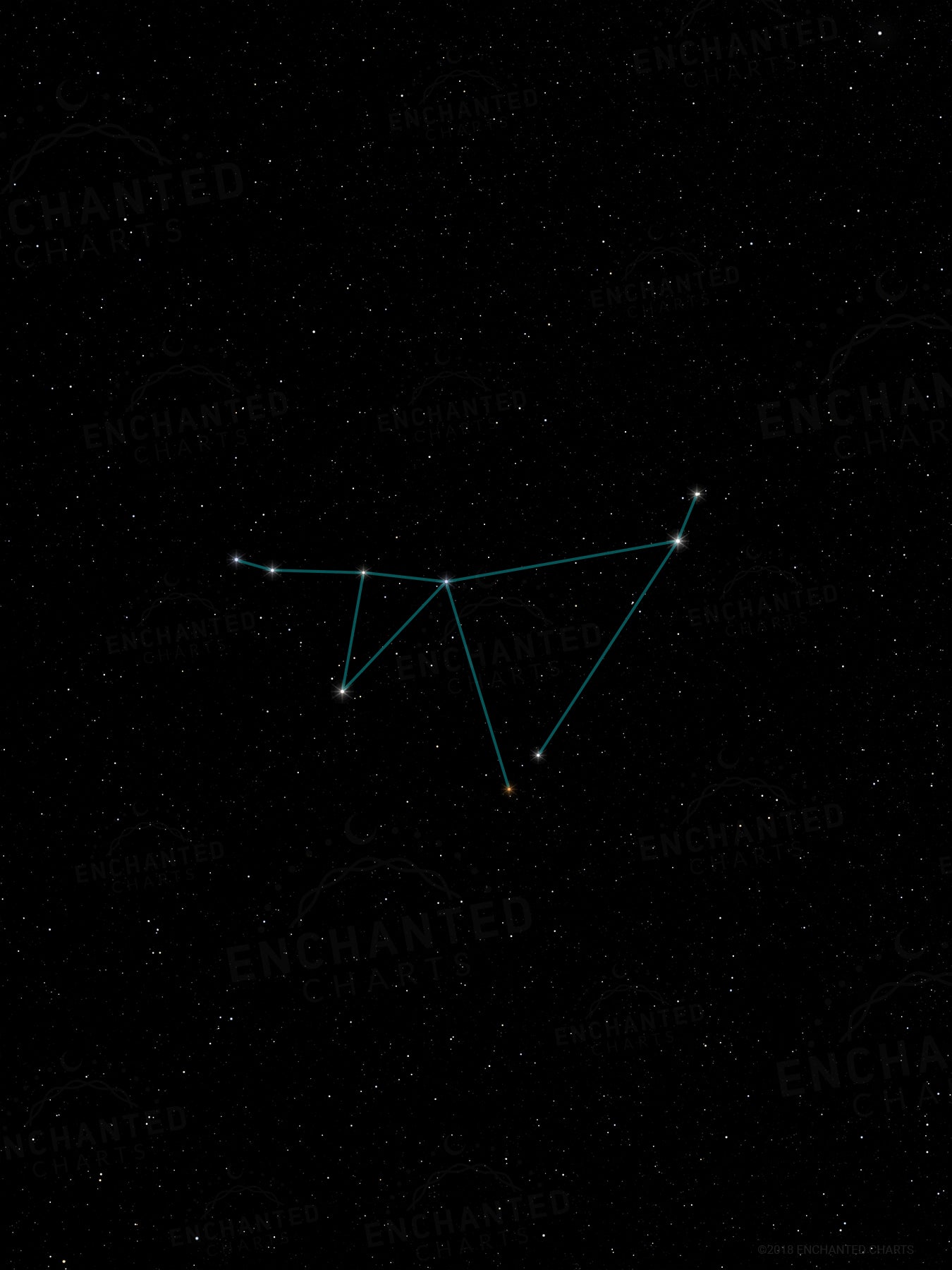 Capricorn Zodiac Sign Star Print