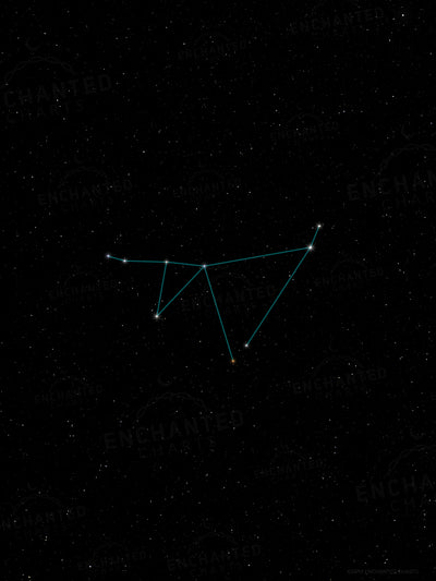 Capricorn Zodiac Sign Star Print
