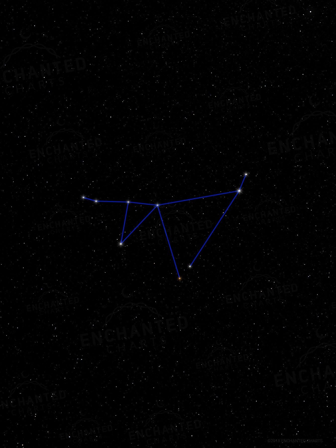 Capricorn Zodiac Sign Star Print