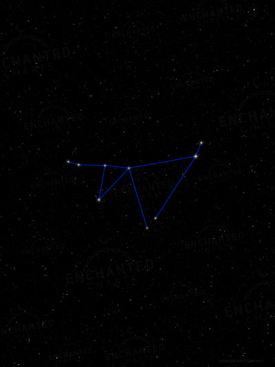 Capricorn Zodiac Sign Star Print