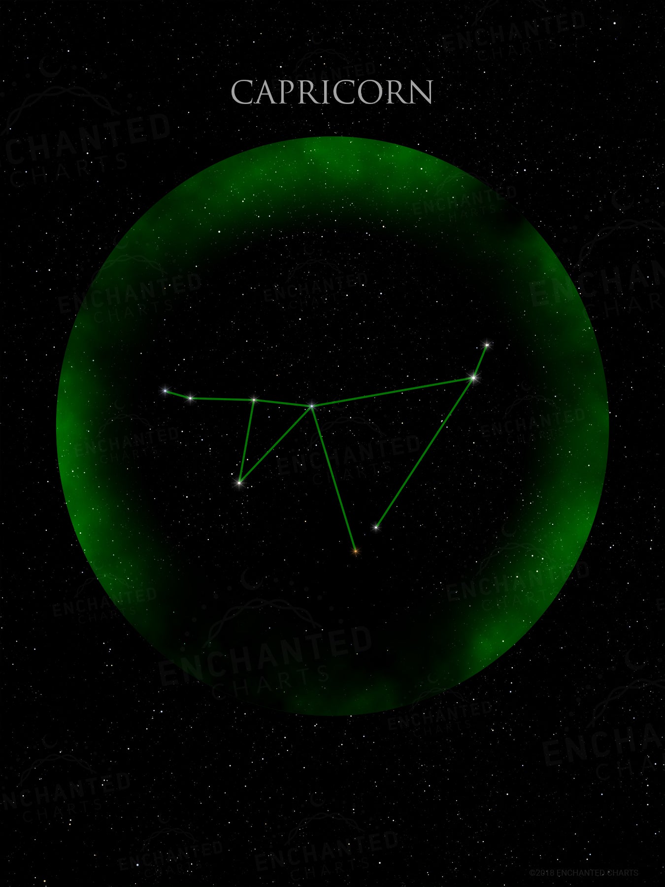 Capricorn Zodiac Sign Star Print