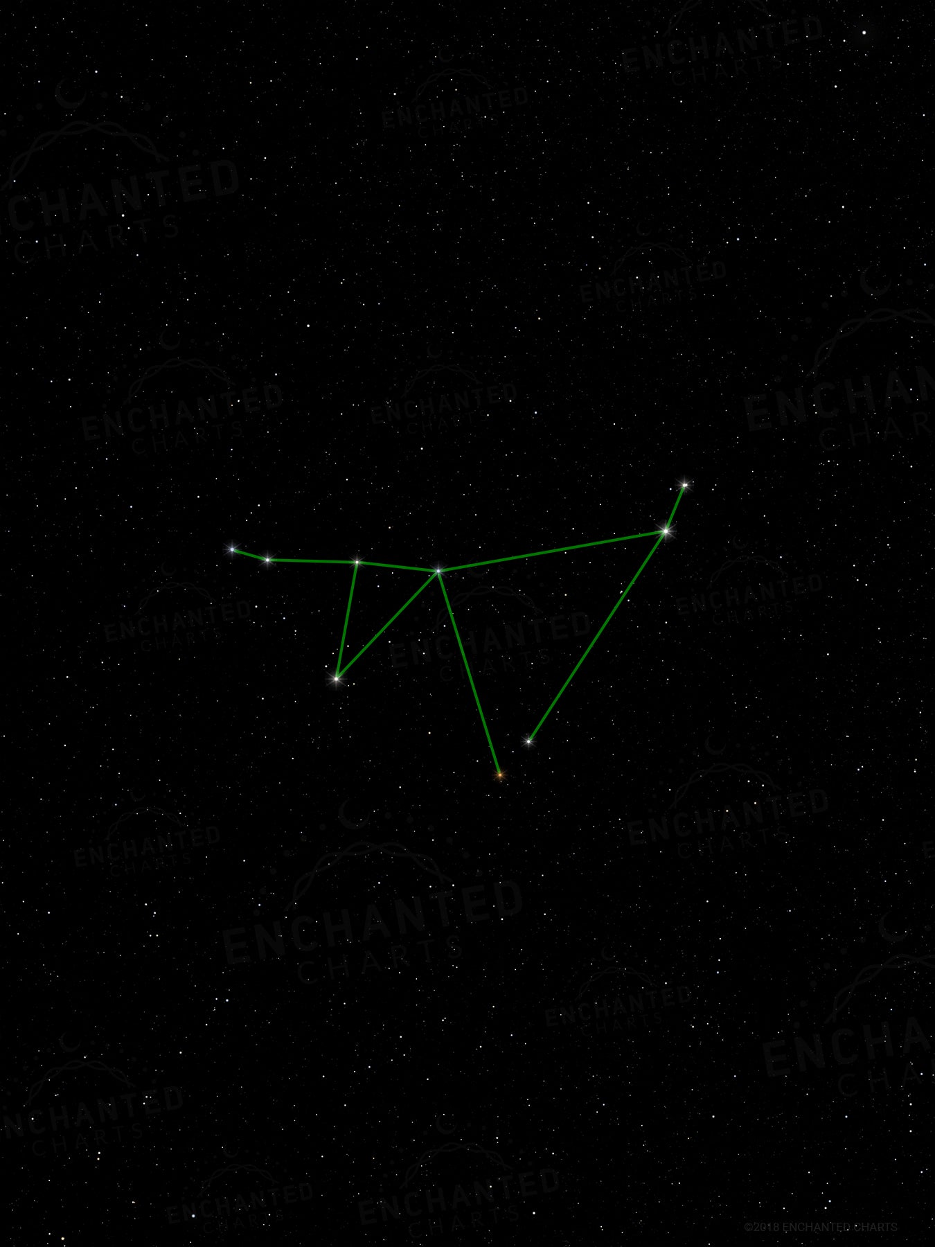 Capricorn Zodiac Sign Star Print