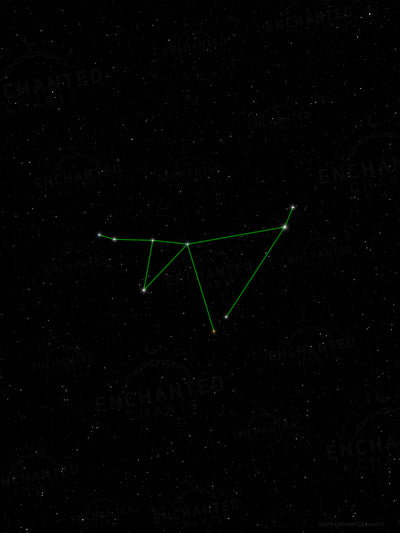 Capricorn Zodiac Sign Star Print