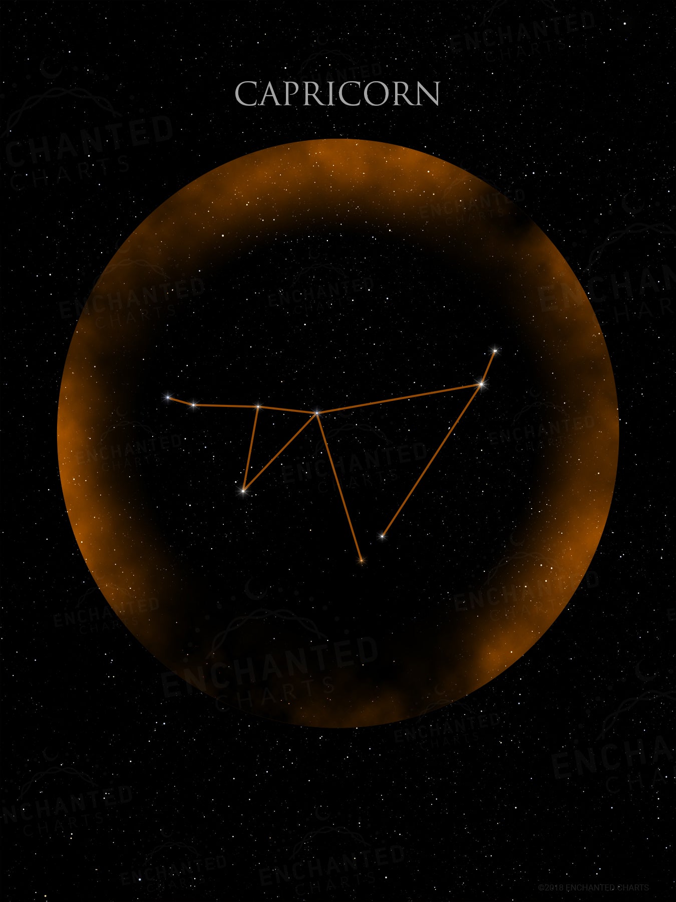 Capricorn Zodiac Sign Star Print