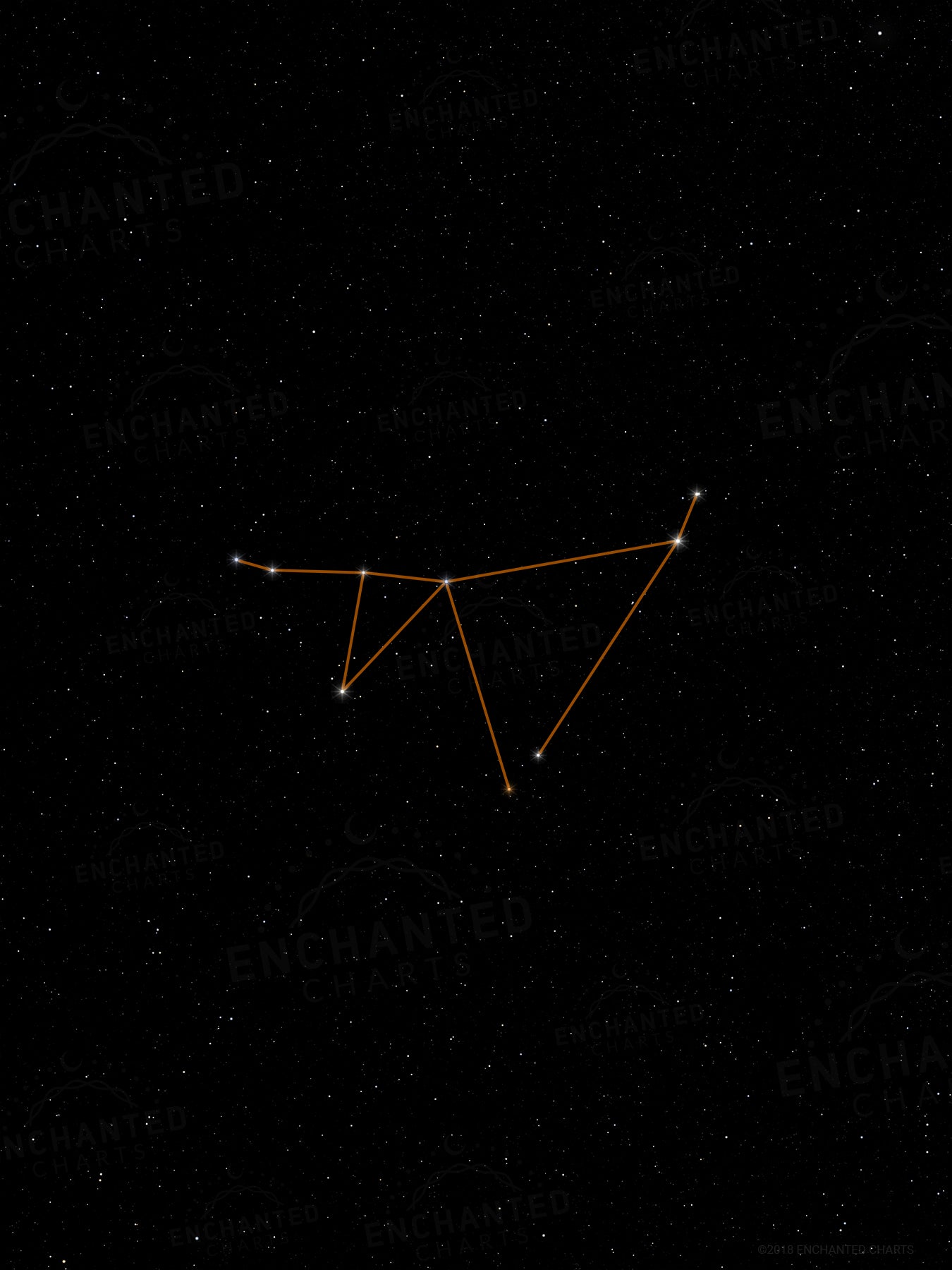 Capricorn Zodiac Sign Star Print