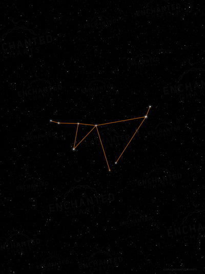 Capricorn Zodiac Sign Star Print