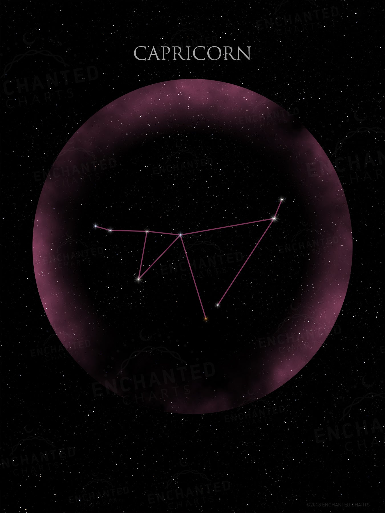 Capricorn Zodiac Sign Star Print