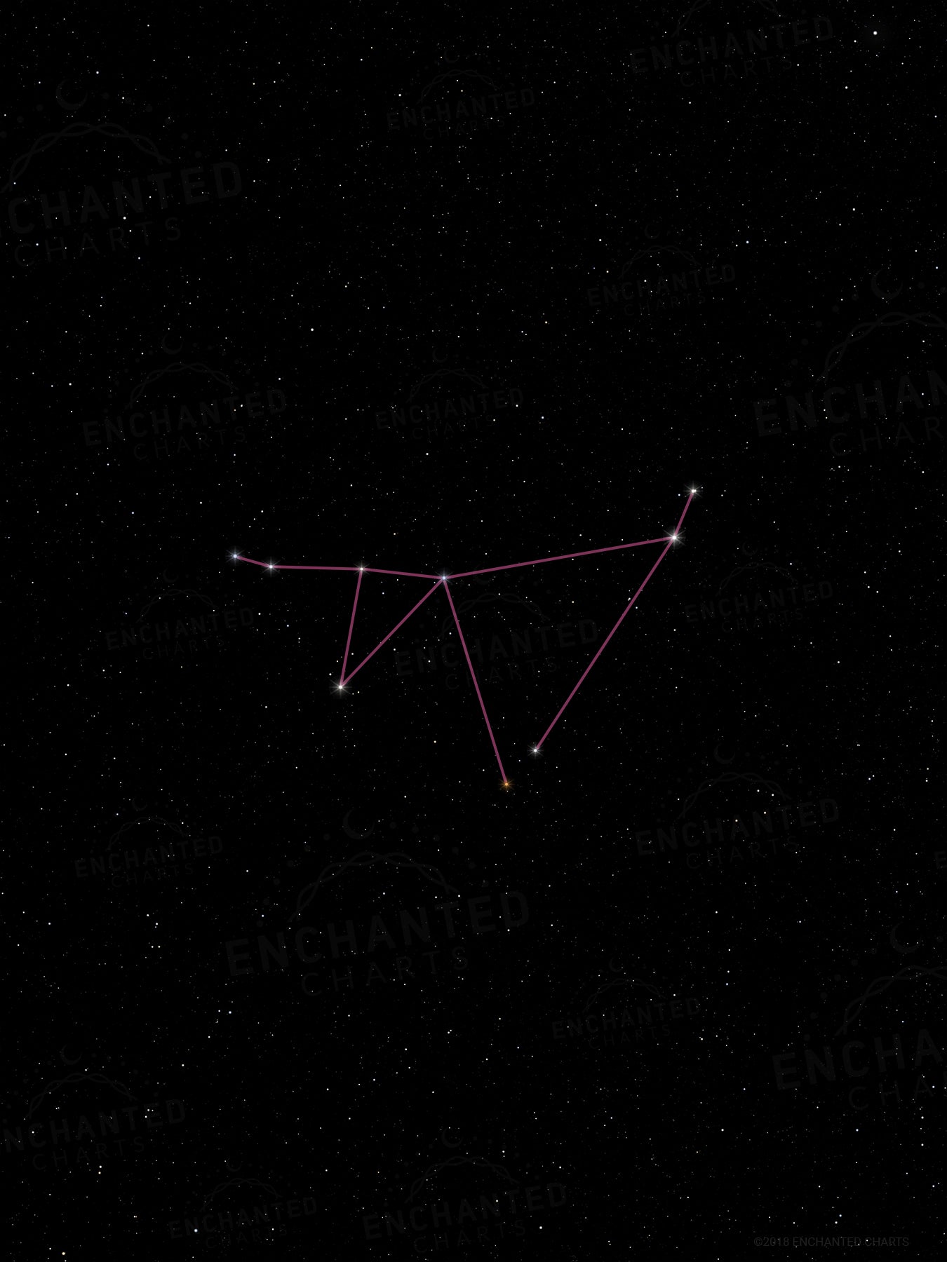 Capricorn Zodiac Sign Star Print