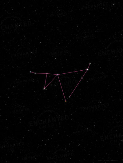 Capricorn Zodiac Sign Star Print