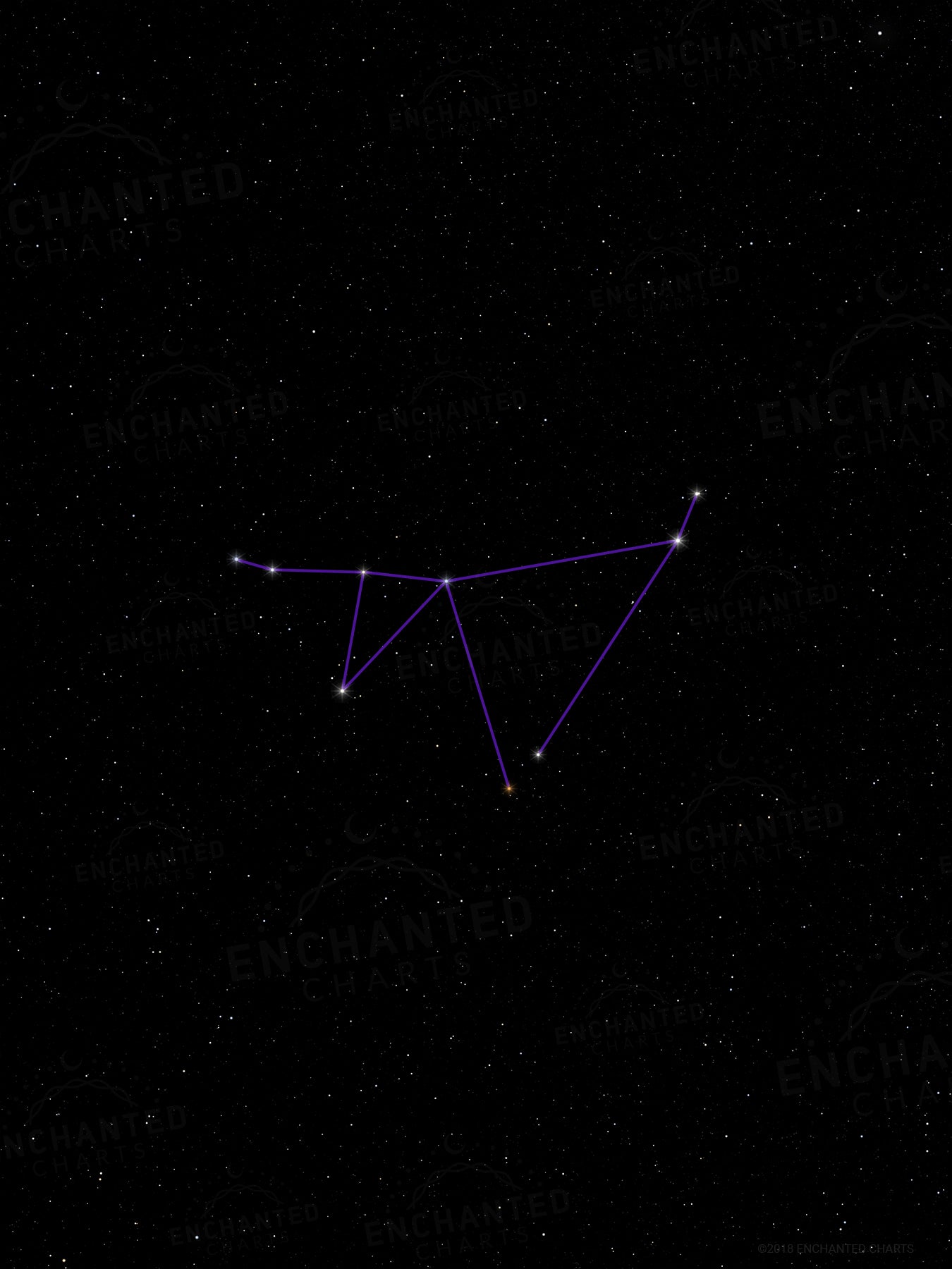 Capricorn Zodiac Sign Star Print