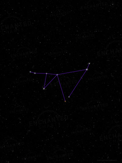 Capricorn Zodiac Sign Star Print
