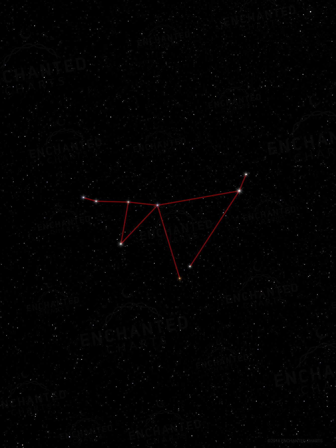 Capricorn Zodiac Sign Star Print