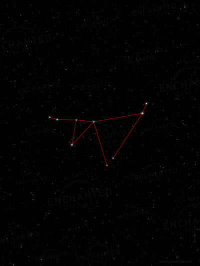 Capricorn Zodiac Sign Star Print