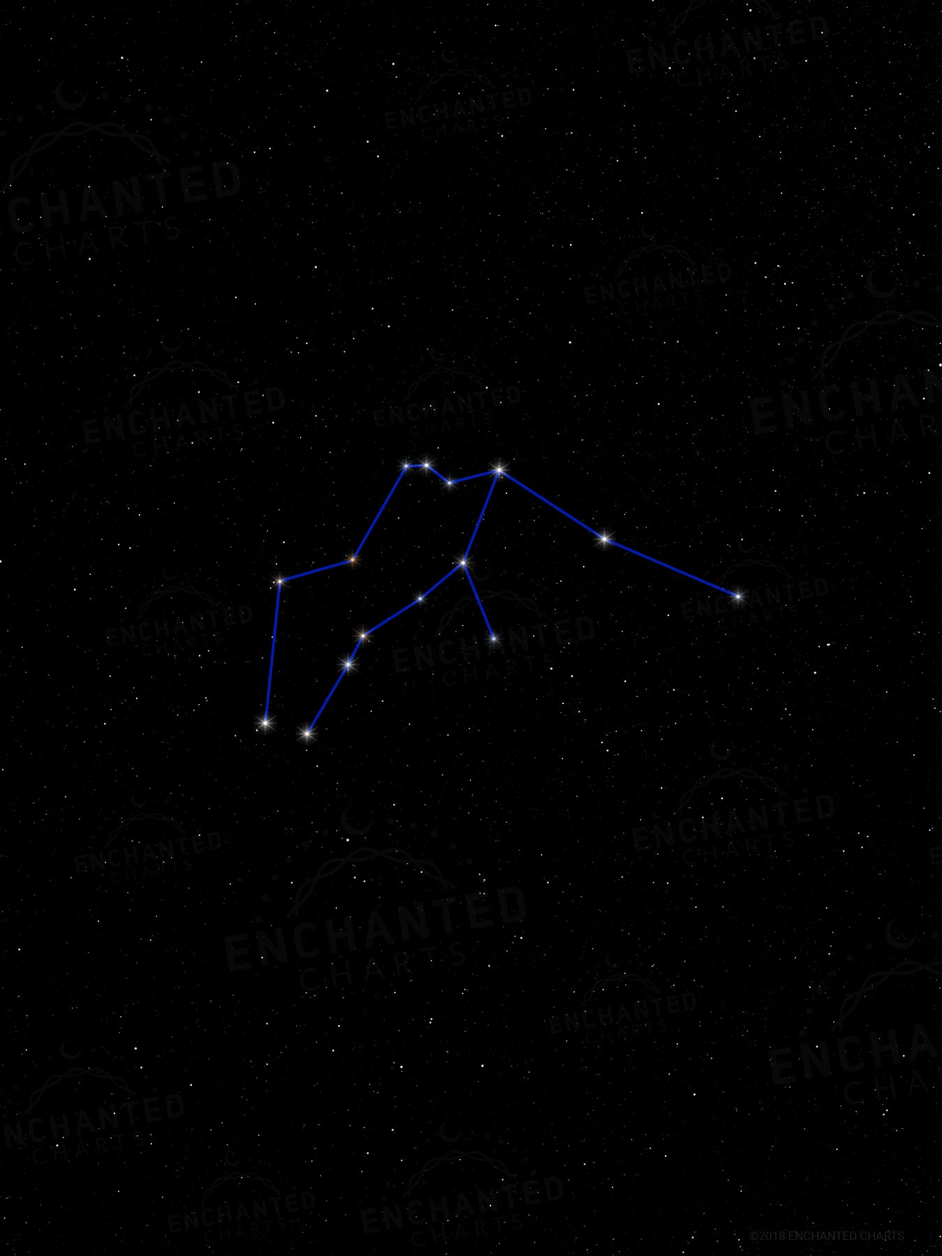 Aquarius Zodiac Sign Star Print